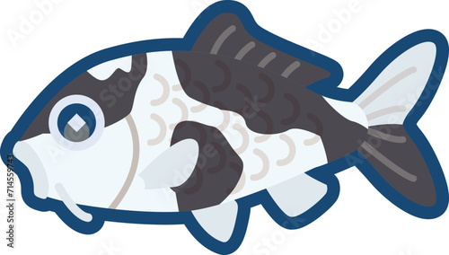 かわいいニシキゴイ（白写り）のイラスト