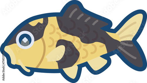 かわいいニシキゴイ（黄写り）のイラスト