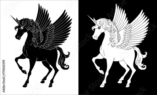 Pegasus Unicorn horse with wings and horn cartoon mythological animal from Greek myth illustration