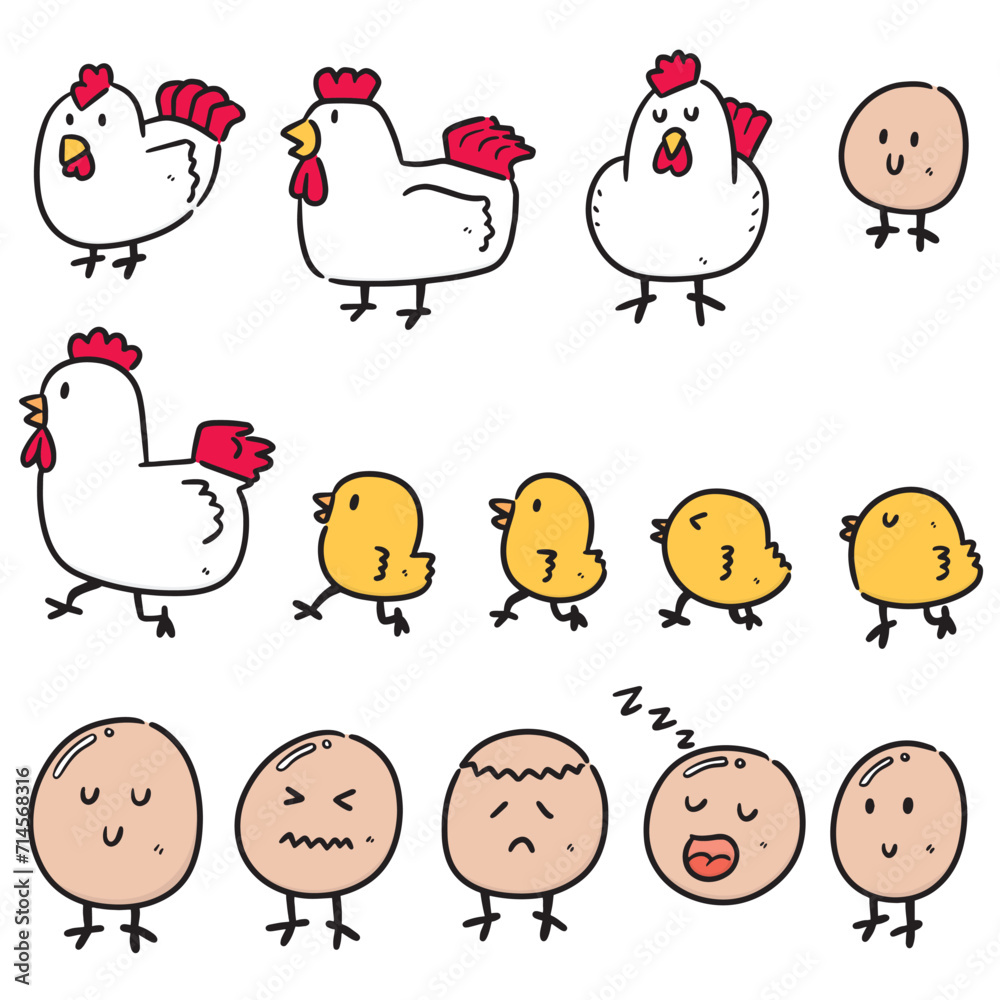 vector set of chicken and egg vector set of chicken and egg
