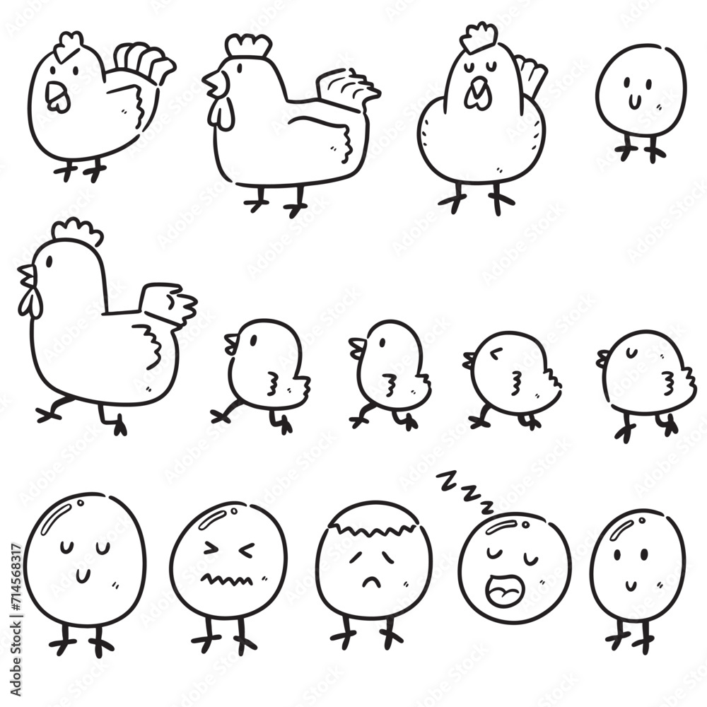 vector set of chicken and egg vector set of chicken and egg