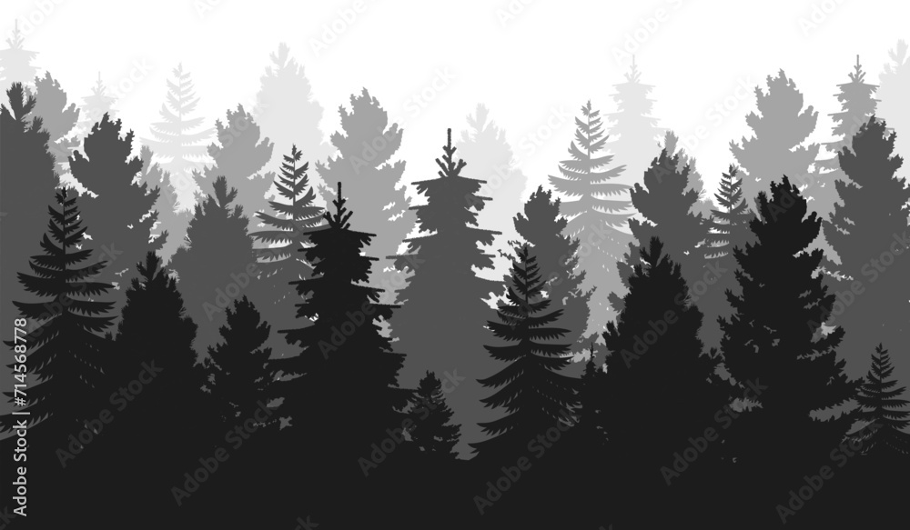 Fototapeta premium Seamless wild forest silhouette background or landscape with pine, coniferous and christmas tree. Vintage fir tree and pine mountain forest. Natural environment and winter floral botanical garden.