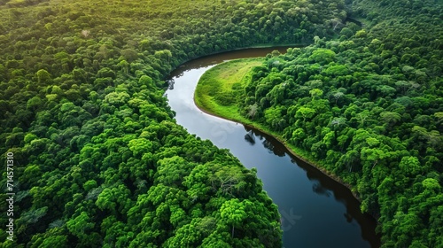  an aerial view of a river in the middle of a lush green forest with a river running through the middle of the forest, surrounded by lush green trees and lush foliage.