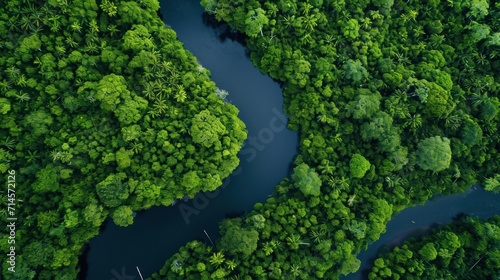  an aerial view of a river in the middle of a forest with lots of trees on both sides of the river and a few boats in the water on the other side of the river.
