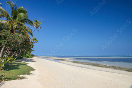 Walking along the Beautiful Beach on the Tropical Island on a Sunny Day