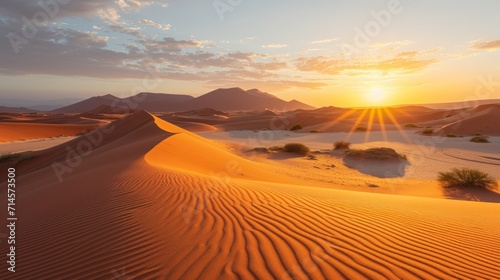 the sun is setting in the desert with sand dunes and mountains in the background and a few bushes in the foreground and a few bushes in the foreground.