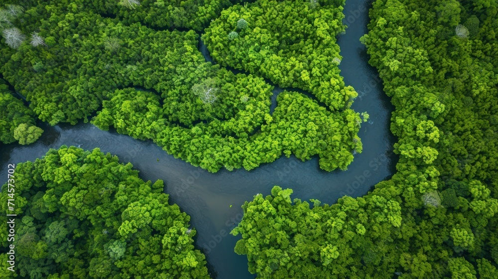  an aerial view of a river in the middle of a green forest with a river running through the center of the area and trees in the middle of the area.