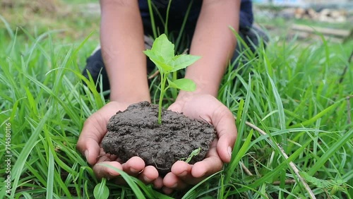 Hands holding a growing plant