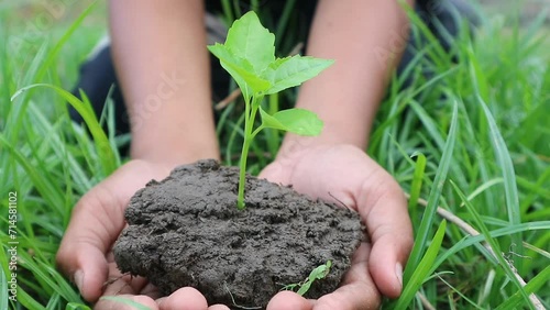 Hands holding a growing plant