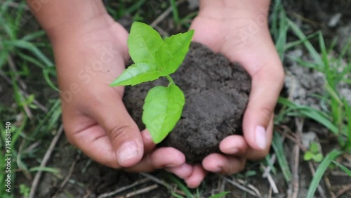 Hands holding a growing plant