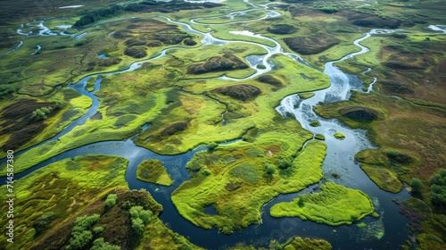  an aerial view of a river running through a lush green field with lots of trees and grass on both sides of the river and in the middle of the river. © Olga