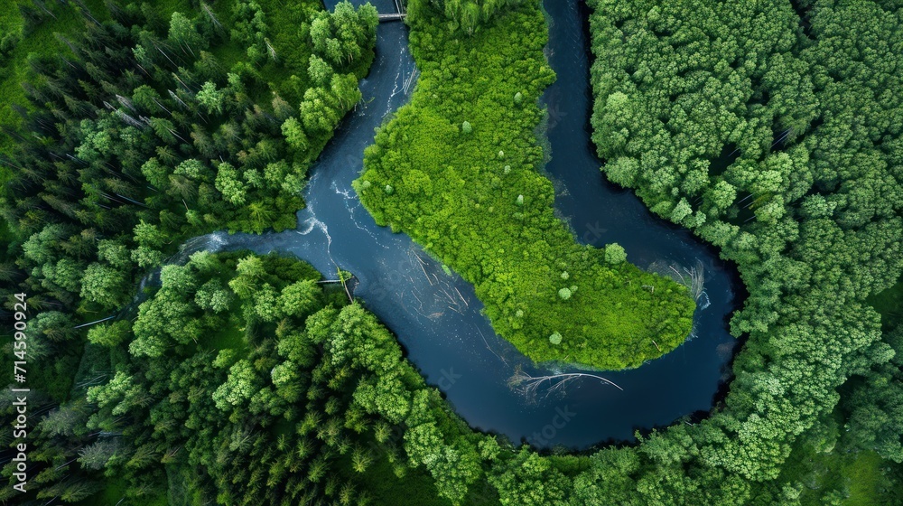  an aerial view of a river in the middle of a forest with lots of trees on either side of it and a bridge on the other side of the river.