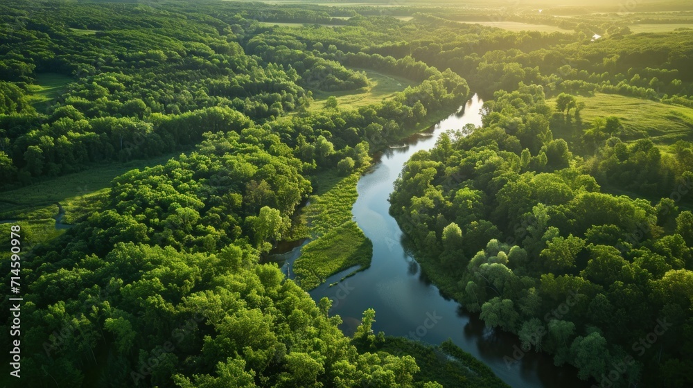  an aerial view of a river running through a lush green forest filled with lots of trees on both sides of the river, surrounded by lush green grass and trees on both sides.