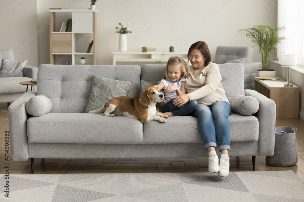 Wide shot of happy grandmother and granddaughter kid stroking cute beagle dog, enjoying family leisure, relaxation with pet, animal companion, resting on home sofa Wide shot of happy grandmother and granddaughter kid stroking cute beagle dog, enjoying family leisure, relaxation with pet, animal companion, resting on home sofa