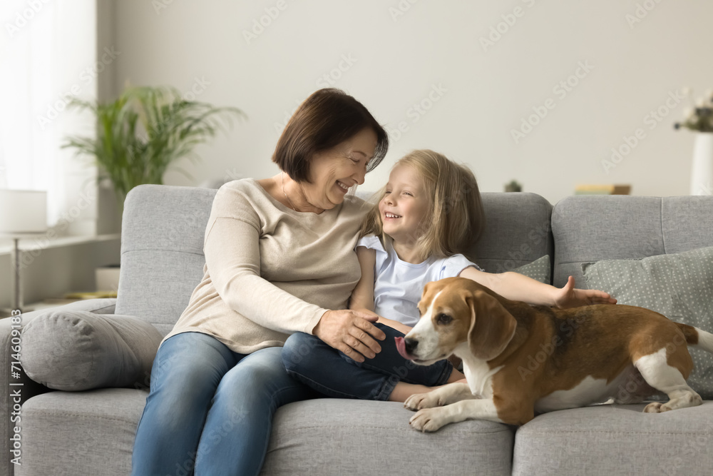Cheerful granny and little granddaughter stroking cute dog, sitting close together on home sofa, talking, laughing, enjoying homey relaxation, family leisure with pet, close relationship, friendship