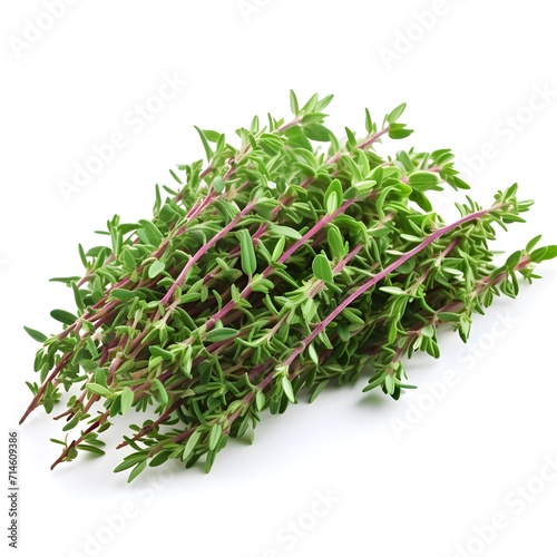 Thyme plant isolated on white background with shadow. Bunch of thyme. Thyme. Thymus plant. Aromatic herb of thyme