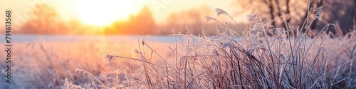 Norddeutschland Landschaft bei Frost im Winter  Panorama Sonnenaufgang  Morgend  mmerung bei klirrend kaltem und klaren Wetter