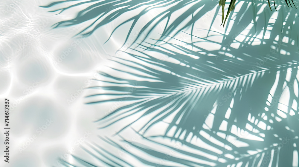 water surface with tropical leaf shadow. - obrazy, fototapety, plakaty 