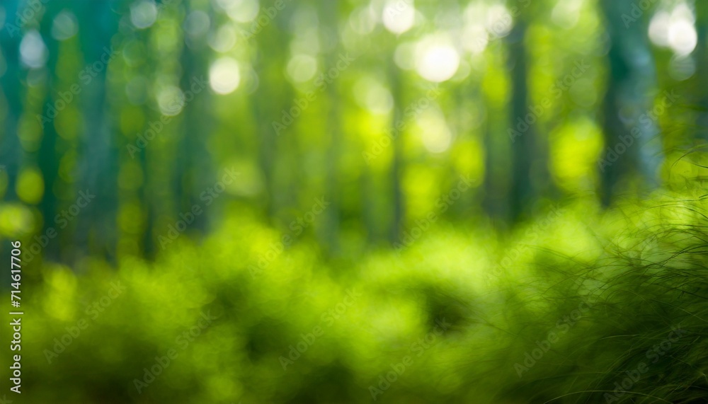 abstract unfocused fuzzy green forest foliage background