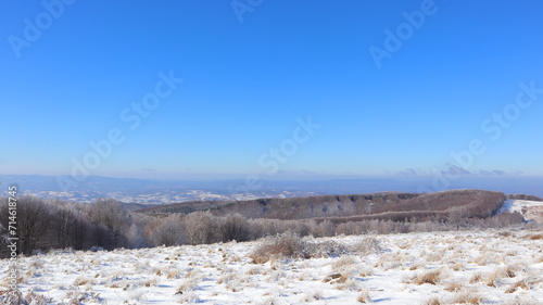 Wallpaper Mural winter landscape with snow Torontodigital.ca