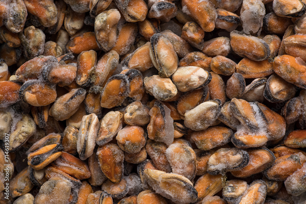 Frozen mussel meat in a store. Close up