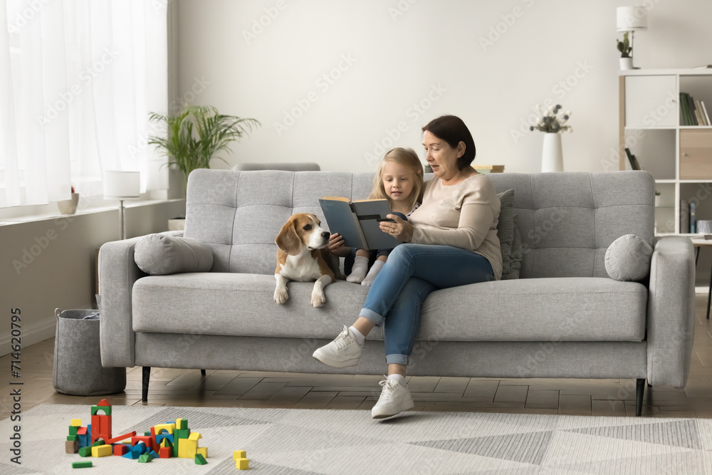 Loving dog owner grandma teaching little granddaughter to read book, sitting on comfortable home sofa with pet, telling fairytale, watching kid in cozy living room with toy building blocks on floor Loving dog owner grandma teaching little granddaughter to read book, sitting on comfortable home sofa with pet, telling fairytale, watching kid in cozy living room with toy building blocks on floor