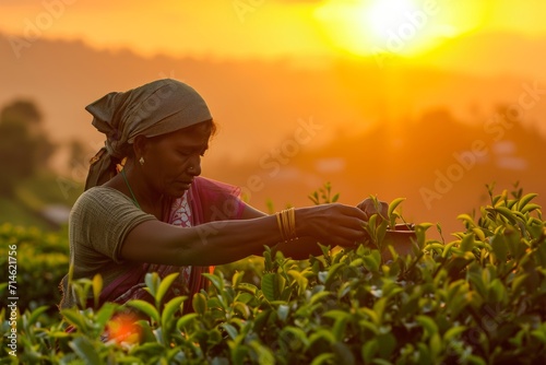 tea picker at sri lanka,snashot aesthetic photo