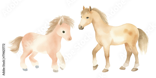 cute horse watercolor vector illustration