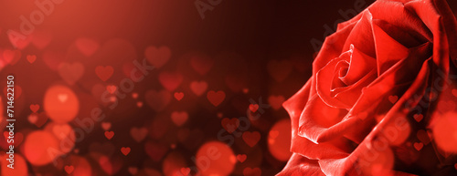 Love and romance background with red rose photo