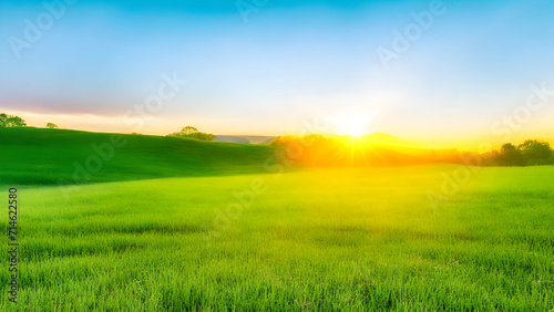 Sunset over green field landscape. Beautiful natural agricultural in the summertime 36.