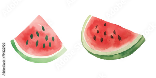 cute watermelon watercolor vector illustration