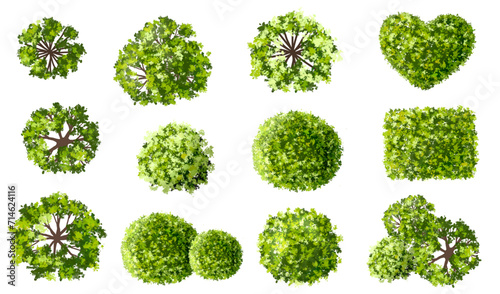Vertor set of green tree,plants side view for landscape elevations,element for backdrop,eco environment concept design,watercolor greenery scene