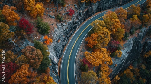  an aerial view of a winding road surrounded by trees with orange and yellow leaves on the sides of the road and a yellow line in the middle of the road. © Olga