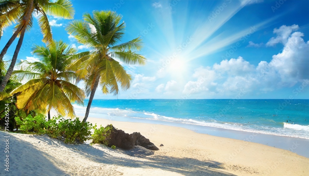 sunny tropical beach with palm trees