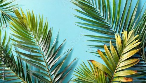 tropical palm leaves on light blue background minimal nature summer styled flat lay image is approximately 5500 x 3600 pixels in size © Heaven