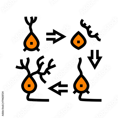 neurogenesis neuroscience neurology color icon vector. neurogenesis neuroscience neurology sign. isolated symbol illustration