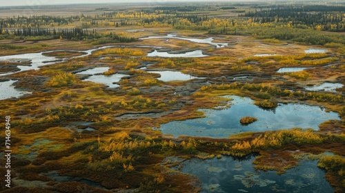  an aerial view of a marshy area with lots of trees and a body of water surrounded by yellow and green grass and a few patches of trees in the foreground.