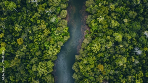  an aerial view of a river in the middle of a forest with lots of trees on both sides of the river and a boat in the middle of the river.