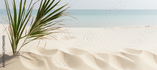 Minimalistic zen pattern with palm leaves on white sand  perfect for meditation and relaxation.