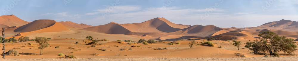 Big Mamma dune in Naukluft desert, near Sossusvlei,  Namibia