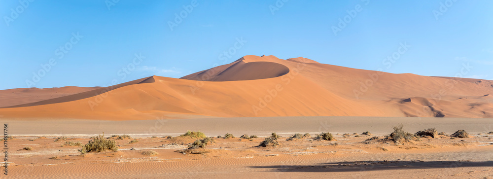 Big Daddy dune in Naukluft desert, near Sossusvlei,  Namibia