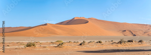 Big Daddy dune in Naukluft desert, near Sossusvlei, Namibia