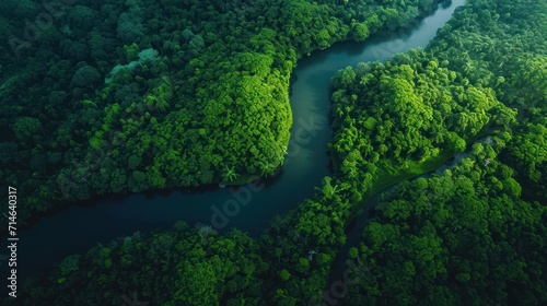  an aerial view of a river in the middle of a green forest with lots of trees on both sides of the river and the river running through the center of the forest.