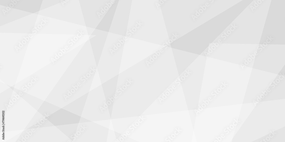 Fototapeta premium White and grey geometric minimal and triangle overlap layer shape banner design. Abstract geometric minimal futuristic element concept. Design for poster, brochure, banner, wallpaper, cover, flyer.
