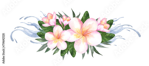 Composition of plumeria flowers. Frangipani and palm leaves isolated on white background. Watercolor botanical illustration for cosmetics and perfume packaging design