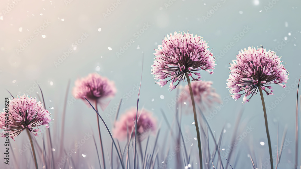 a group of pink flowers sitting on top of a lush green field next to a blue sky with drops of water on it's petals in the foreground. a group of pink flowers sitting on top of a lush green field next to a blue sky with drops of water on it's petals in the foreground.