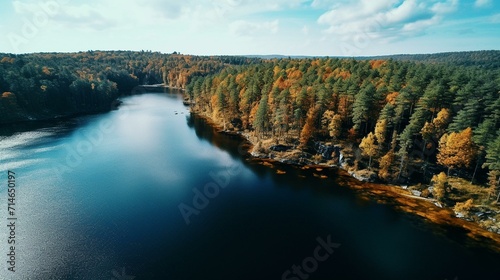 Aerial Perspective of a Forested Lake during Autumn