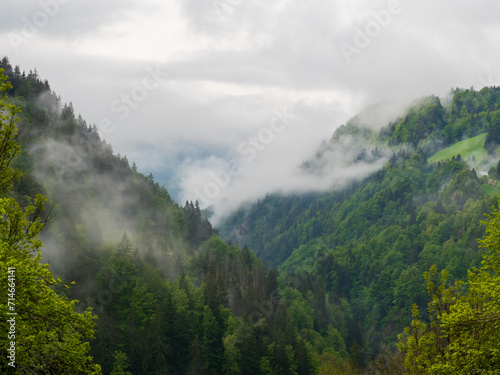 paisaje de montaña con bosques verdes y brumas al amanecer un día nublado y frío