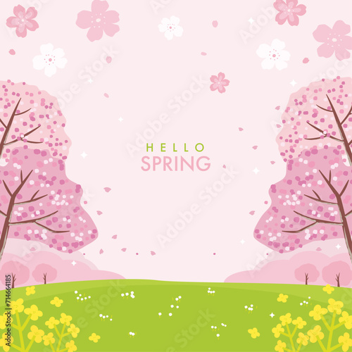 Cherry blossom and canola flower background, beautiful spring landscape.