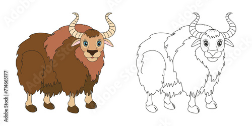 Yak or bull line and color illustration. Cartoon vector illustration for coloring book.